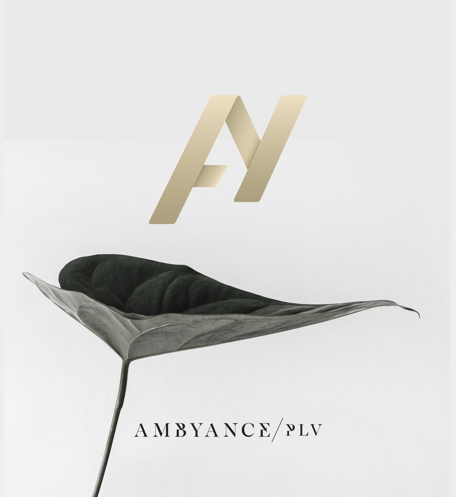 Ambyance PLV logo